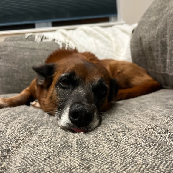 About my closet - Picture 2 of 3